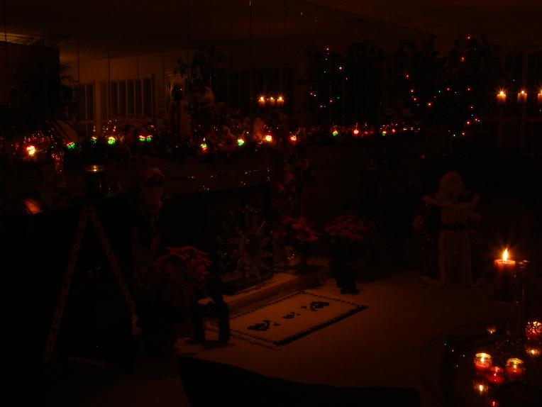 The pad of Dumpbuster Don and Pool Queen Ida, Christmas Eve '06.